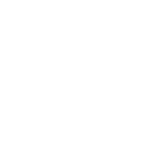 VNP Logo