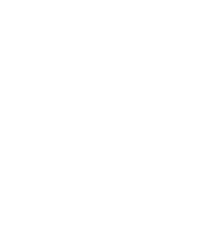VNP Logo